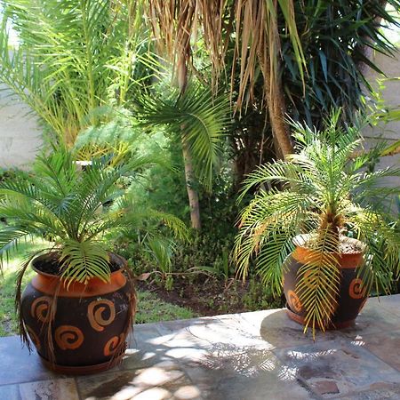 Van Biljon Cottage No Loadshedding Oudtshoorn Bagian luar foto